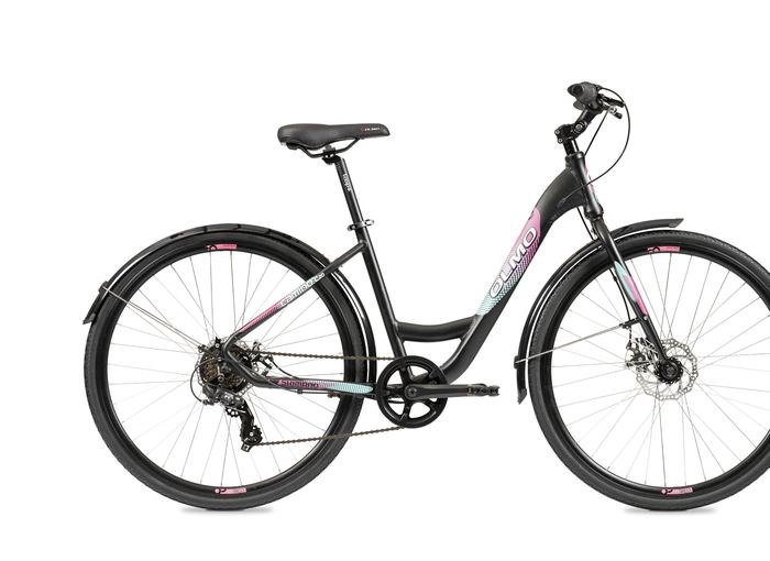 Olmo Camino C20